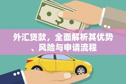 大埔外汇贷款，全面解析其优势、风险与申请流程