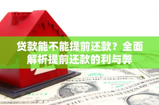 大埔贷款能不能提前还款？全面解析提前还款的利与弊