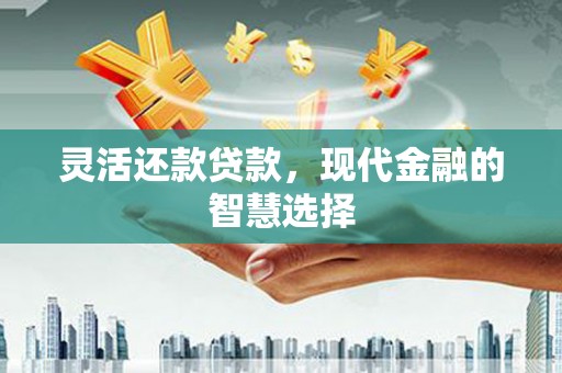 大埔灵活还款贷款，现代金融的智慧选择