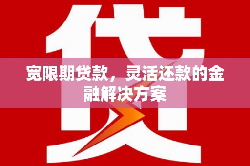 大埔宽限期贷款，灵活还款的金融解决方案