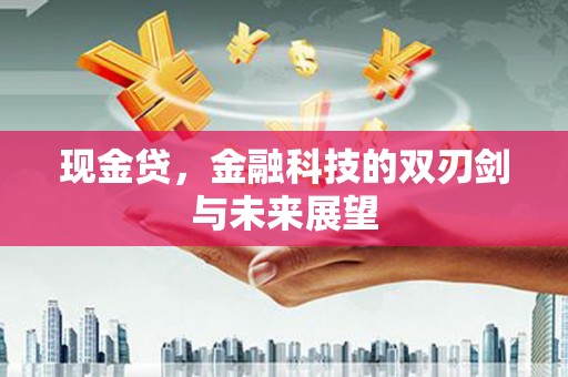 大埔现金贷，金融科技的双刃剑与未来展望