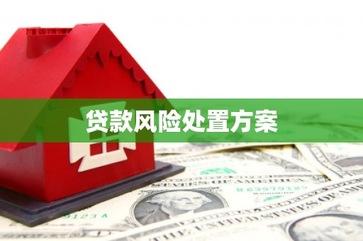 大埔贷款风险处置方案