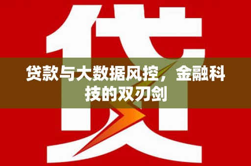 大埔贷款与大数据风控，金融科技的双刃剑
