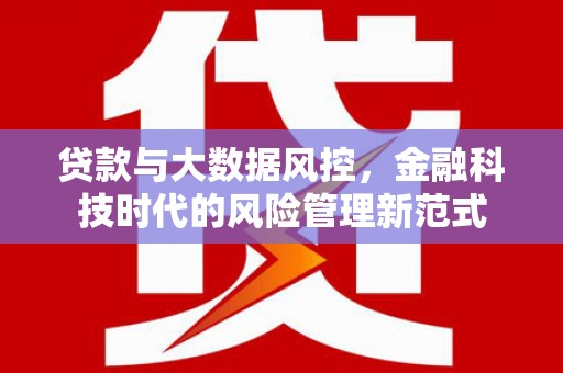大埔贷款与大数据风控，金融科技时代的风险管理新范式