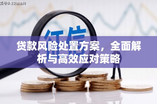大埔贷款风险处置方案，全面解析与高效应对策略