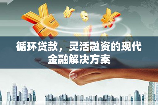 大埔循环贷款，灵活融资的现代金融解决方案