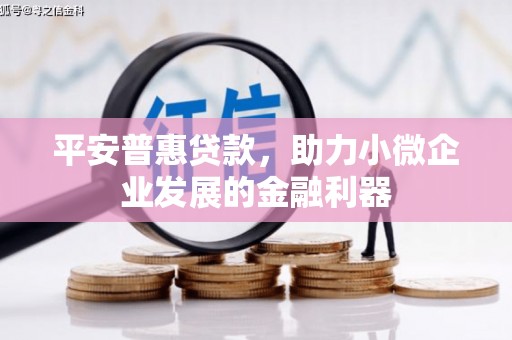 大埔平安普惠贷款，助力小微企业发展的金融利器