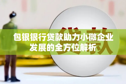 大埔包银银行贷款助力小微企业发展的全方位解析