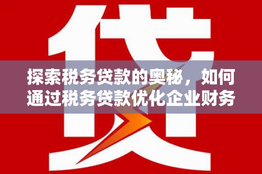 大埔探索税务贷款的奥秘，如何通过税务贷款优化企业财务
