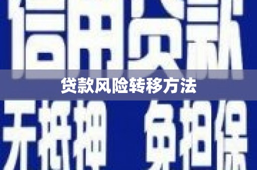大埔贷款风险转移方法