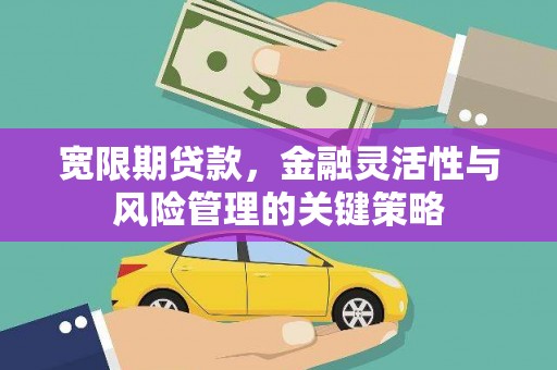 大埔宽限期贷款，金融灵活性与风险管理的关键策略
