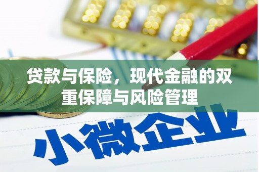 大埔贷款与保险，现代金融的双重保障与风险管理