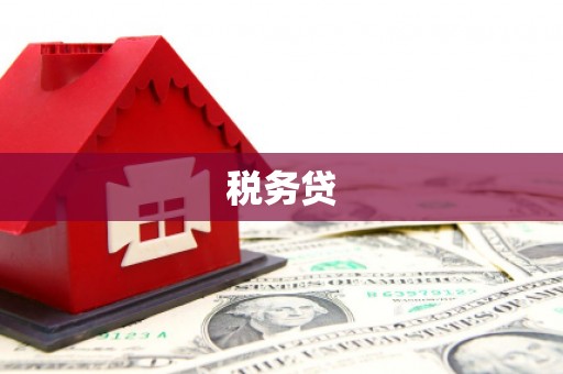 大埔税务贷