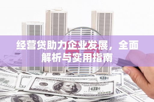 大埔经营贷助力企业发展，全面解析与实用指南