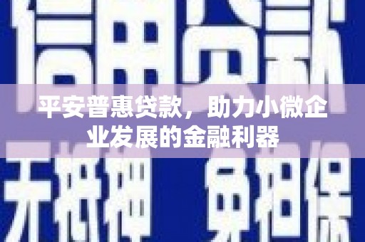 大埔平安普惠贷款，助力小微企业发展的金融利器