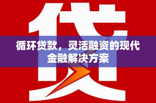 大埔循环贷款，灵活融资的现代金融解决方案