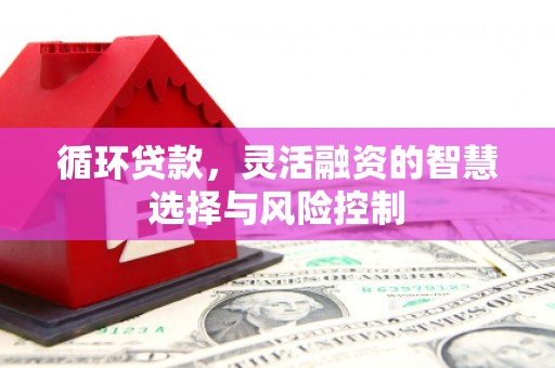 大埔循环贷款，灵活融资的智慧选择与风险控制
