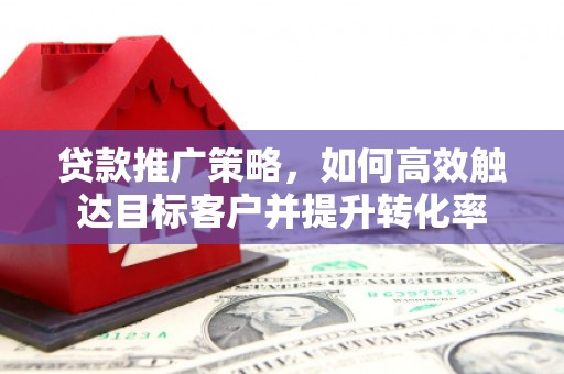 大埔贷款推广策略，如何高效触达目标客户并提升转化率