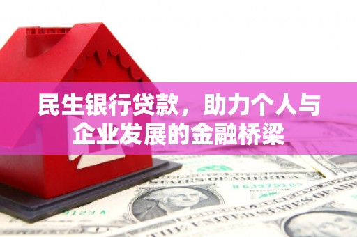 大埔民生银行贷款，助力个人与企业发展的金融桥梁