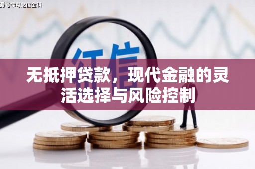 大埔无抵押贷款，现代金融的灵活选择与风险控制