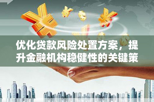 大埔优化贷款风险处置方案，提升金融机构稳健性的关键策略
