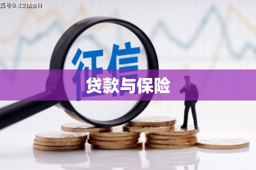 大埔贷款与保险