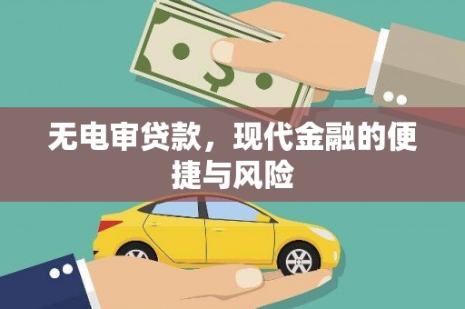 大埔无电审贷款，现代金融的便捷与风险