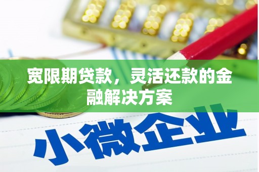 大埔宽限期贷款，灵活还款的金融解决方案