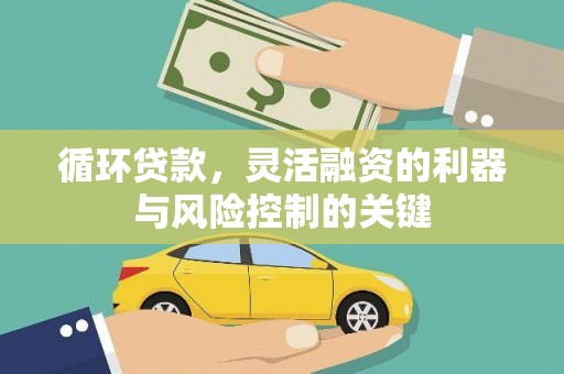 大埔循环贷款，灵活融资的利器与风险控制的关键