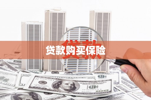 大埔贷款购买保险