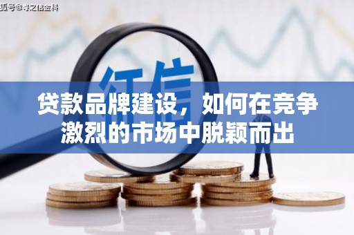 大埔贷款品牌建设，如何在竞争激烈的市场中脱颖而出