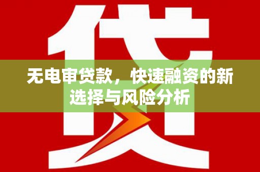 大埔无电审贷款，快速融资的新选择与风险分析