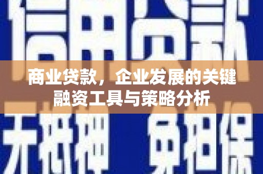 大埔商业贷款，企业发展的关键融资工具与策略分析