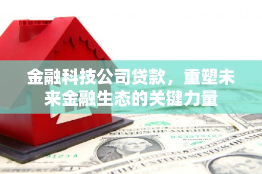 大埔金融科技公司贷款，重塑未来金融生态的关键力量