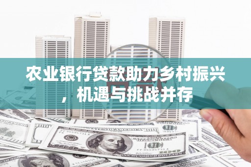 大埔农业银行贷款助力乡村振兴，机遇与挑战并存