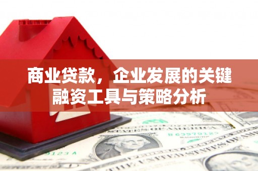 大埔商业贷款，企业发展的关键融资工具与策略分析