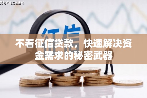 大埔不看征信贷款，快速解决资金需求的秘密武器