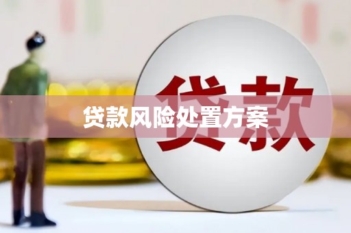 大埔贷款风险处置方案