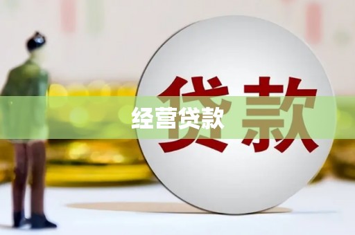 大埔经营贷款