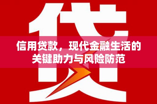 大埔信用贷款，现代金融生活的关键助力与风险防范