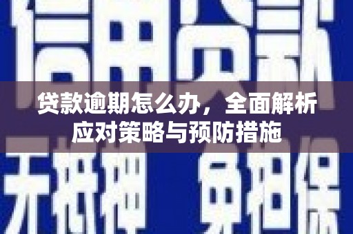 大埔贷款逾期怎么办，全面解析应对策略与预防措施