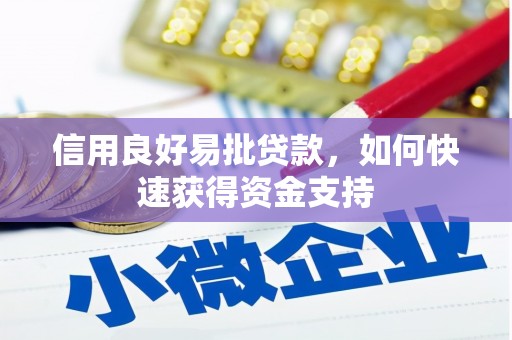 大埔信用良好易批贷款，如何快速获得资金支持