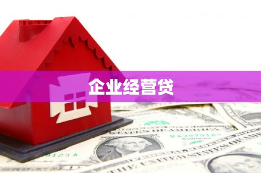 大埔企业经营贷