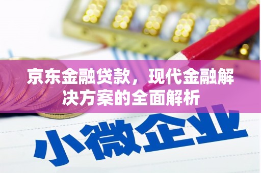 大埔京东金融贷款，现代金融解决方案的全面解析