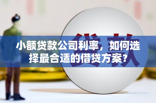 大埔小额贷款公司利率，如何选择最合适的借贷方案？