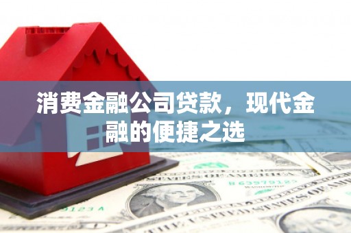 大埔消费金融公司贷款，现代金融的便捷之选