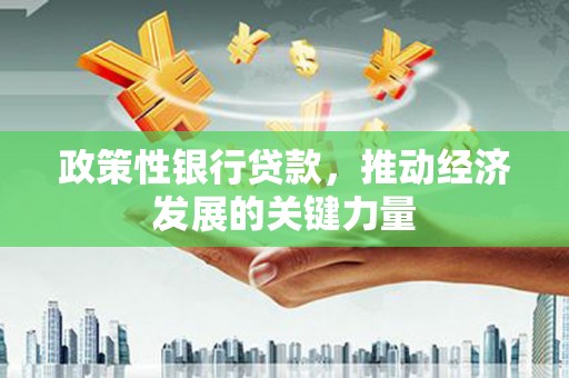 大埔政策性银行贷款，推动经济发展的关键力量