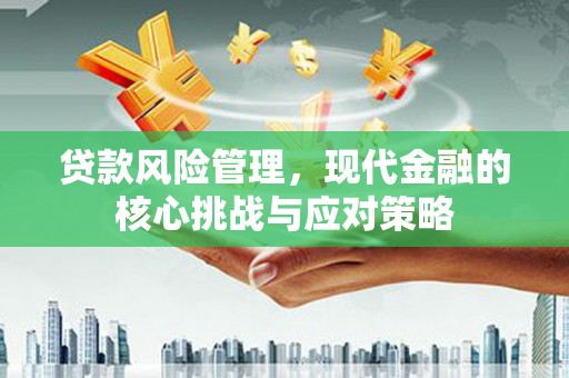 大埔贷款风险管理，现代金融的核心挑战与应对策略