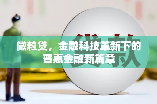 大埔微粒贷，金融科技革新下的普惠金融新篇章
