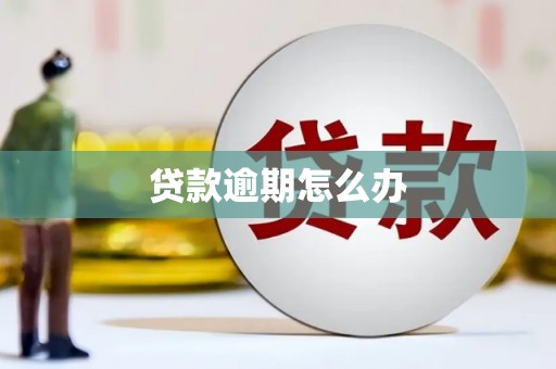 大埔贷款逾期怎么办